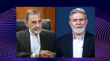 Rezistenca miratohet dhe mbështetet nga Republika Islamike e Iranit