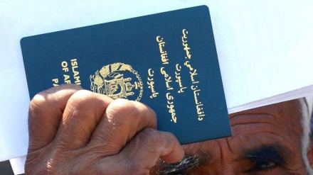 آغاز روند توزیع پاسپورت از هفته اینده