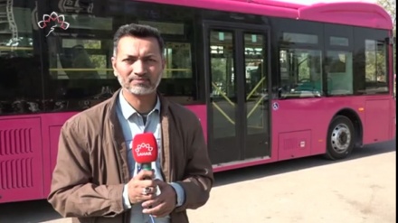 کراچی میں پینک بس سروس کا افتتاح