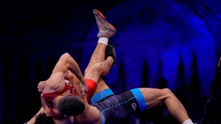 Kapa Guleştê ya Vardanîyan; Guleşkirên îranî 4 mîdal bi dest xistin