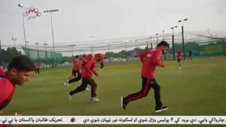 شکست تیم ملی کریکت مقابل امارات متحده عربی 