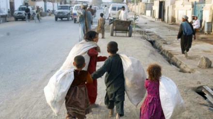 هزاران کودک در سرک های کابل مصروف کارهای دشوار هستند