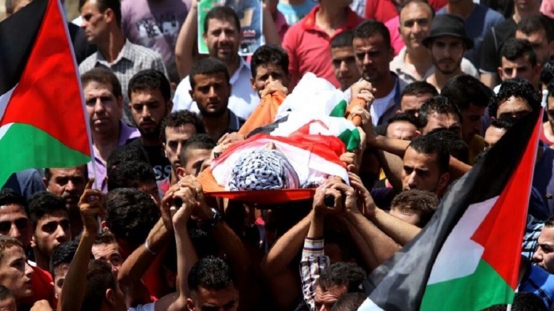 ایک ماہ کے اندر صیہونیوں نے 30 فلسطینیوں کی جان لی
