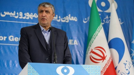  Eslami: Veprimet e Iranit bazohen në ligjin strategjik të parlamentit