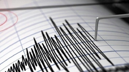 نیوزی لینڈ میں 7.3 شدت کا زلزلہ، سونامی کی وارننگ جاری
