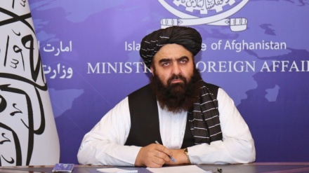 افغانستان میں دہشت گرد گروہ موجود نہیں ہیں: طالبان