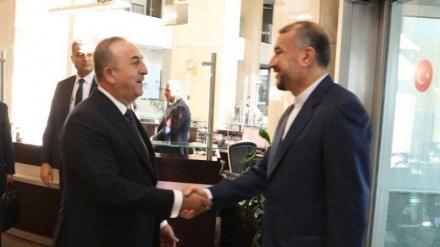 Əmir Abdullahian Ankarada Mövlud Çavuşoğlu ilə görüşüb