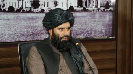 علی رغم وعده های طالبان در مبارزه با تروریسم والی بلخ کشته شد