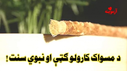 په اودسه کی یو سنت مسواک وهل هم دی .