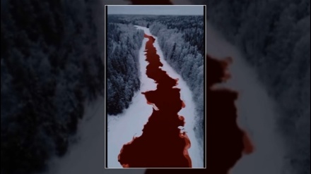انسانی بے رحمی پر خون روتا دریا (ویڈیو)