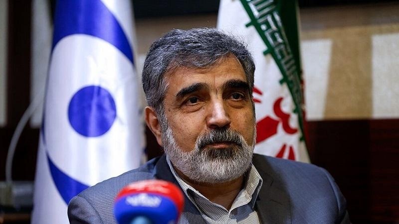 عالمی ایجنسی کے معائنہ کار بوشہر نیوکلیئر پاور پلانٹ میں ایندھن کی تبدیلی کی نگرانی کریں گے: ترجمان ایرانی محکمہ ایٹمی توانائی