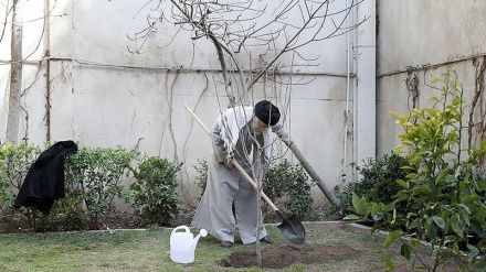 Vođa islamske revolucije posadio mladice na Dan sadnje drveća