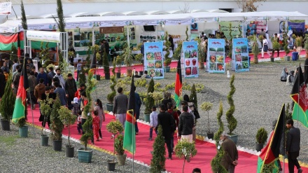 افتتاح بیست و هشتمین نمایشگاه محصولات زراعتی در کابل 