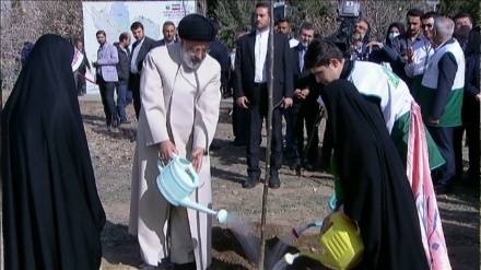 ایران میں ایک ارب درخت لگانے کیلئے شجر کاری مہم کا آغاز (ویڈیو)