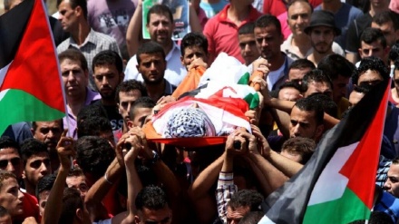 جنین میں مزید تین فلسطینی شہید 