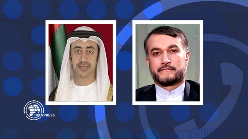  ایران اور سعودی عرب کے تعلقات علاقے کے مفاد میں ہے، متحدہ عرب امارات 