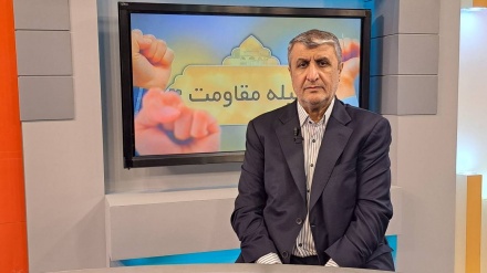 تاکید رئیس سازمان انرژی اتمی ایران بر اتکای دانش هسته‌ای ایران به مهندسین بومی