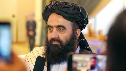 طالبان: سیاست ما تحت تاثیر هیچ کشوری نیست