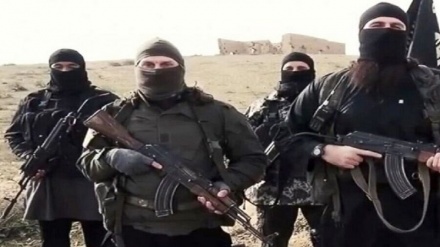 شام، جبہۃ النصرہ کے دہشت گرد حملے کی تیاری میں مصروف