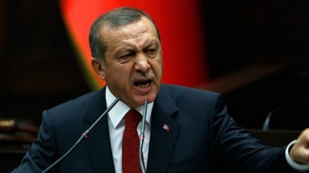 Erdogan ji ber hevdîtina balyozê Emerîkayê li Tirkiyê bi berbijarekî serokkomariyê re bi tundî rexne kir

