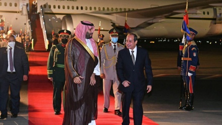 مصری صدر السیسی اور سعودی ولیعہد بن سلمان کی ملاقات