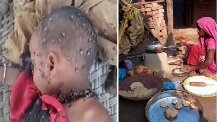 ہندوستان: اتر پردیش میں مکھّیوں کا قہر، دُلہنیں سُسرال چھوڑ کر بھاگنے لگیں