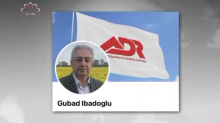 İqtisadçı alim Qubad İbadoğlu xalqın üzləşdiyi problemlərdən yazdı: