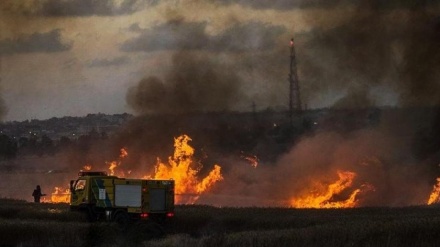 مقبوضہ فلسطین آگ میں جھلس گیا، 24 گھنٹے میں آتشزدگی کے 200 سے زائد واقعات