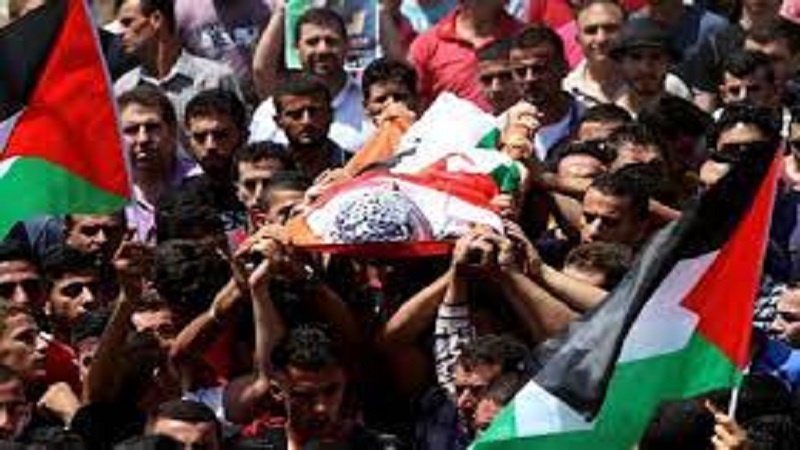 مشرقی جنین میں صیہونی ڈرون کا فلسطینی گاڑی پر حملہ، تین فلسطینی شہید