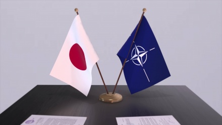 Japon tev li NATO'yê nabe