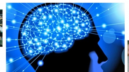  Inteligjenca Artificiale arriti të lexonte mendimet tona gjatë skanimit të trurit 