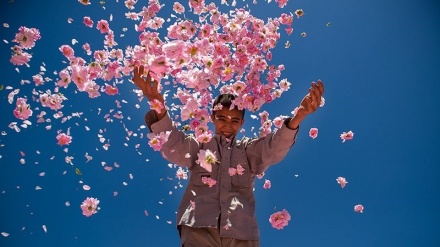 وێستگەی هاژەی دەروون