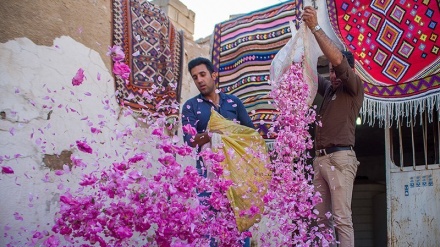 وێستگەی هاژەی دەروون