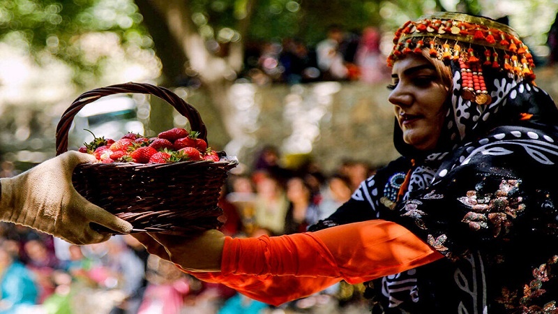 مانگی گوڵان مانگی چنینەوەی تووەفەرەنگییە لە پارێزگای کوردستاندا