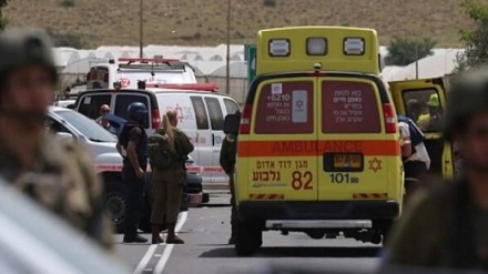 فلسطینی جوانوں کی مزاحمتی کارروائی، دو صیہونی زخمی