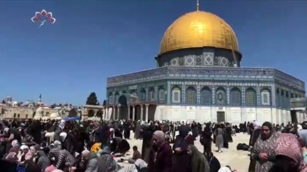 فلسطین کی تازه ترین صورتحال 