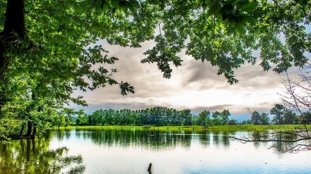 Jezero Normas, Gilan