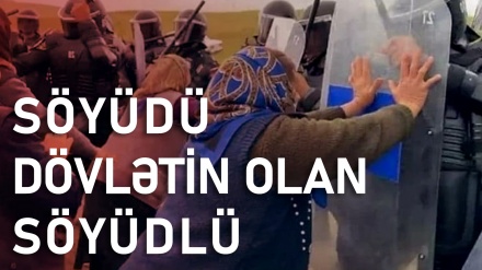 Soyüdü dövlətin olan Söyüdlü