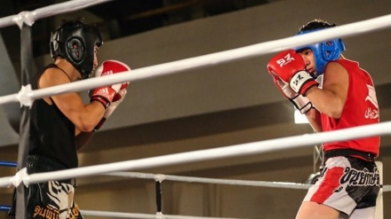 برگزاری مسابقات کیک بوکسینگ در بلخ 