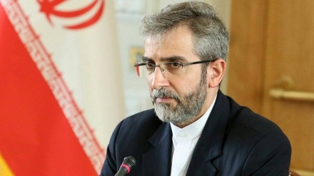 برکس اجلاس میں ایرانی کونسلیٹ پر صیہونی حکومت کے حملے کی مذمت