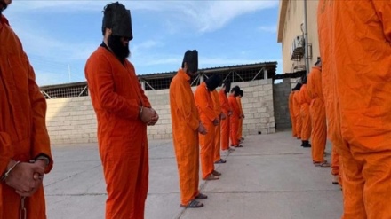 شام، ترکیہ کے زیر کنٹرول جیل سے داعش کے دہشت گرد فرار