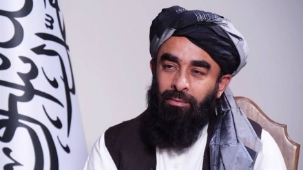 باجوڑ خودکش دھماکے کی طالبان نے کی مذمت 