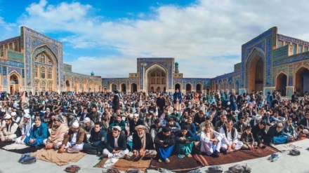 مردم هرات:امام خمینی (ره)بزرگترین حامی مردم افغانستان بود