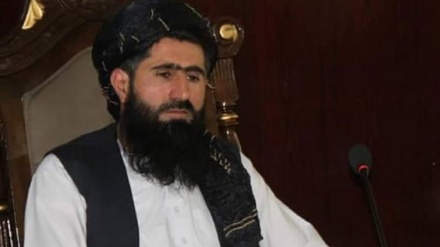 انتحاری در بدخشان؛ معاون والی طالبان کشته شد