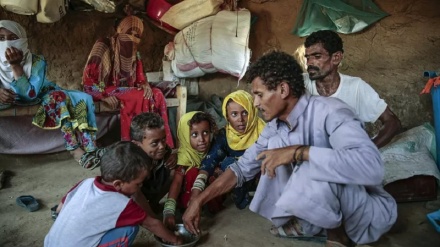 Şerê dijî Yemenê bû sebeb amara zarokên ku kar dikin 4 beranber bibe