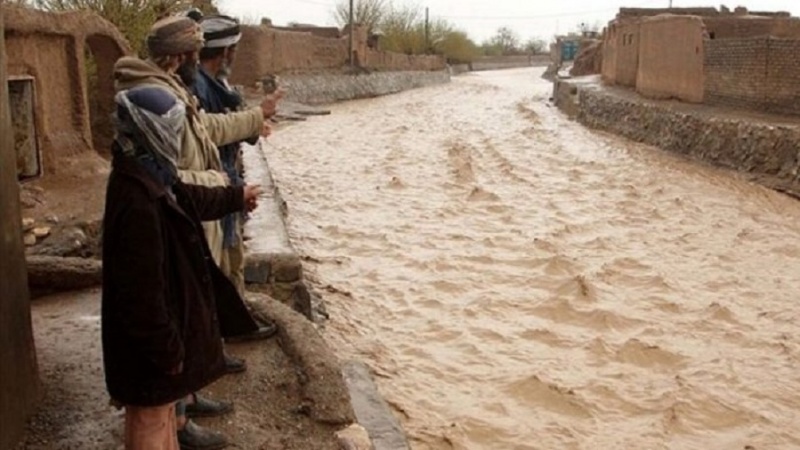 سیلاب در غزنی؛ خسارات هنگفت به کشاورزان و منازل مسکونی وارد کرد