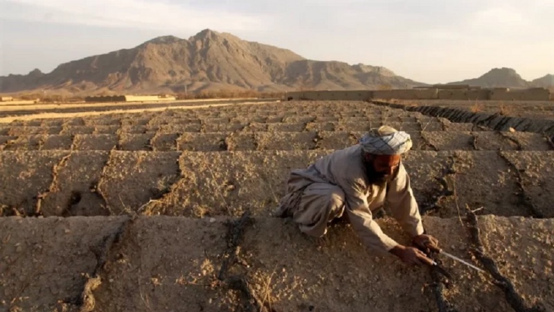 سازمان ملل: دمای هوا در افغانستان سریع‌تر از میانگین جهانی در حال افزایش است