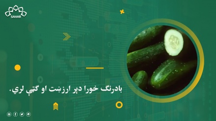  د بادرنګو له ګټو ځان خبر کړئ!