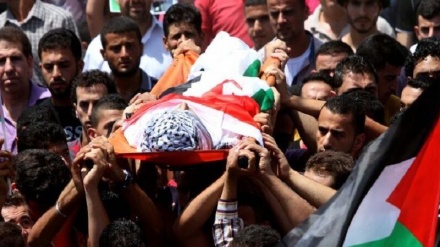 صیہونی جارحیت کا سلسلہ جاری، شہدائے فلسطین کی تعداد میں اضافہ 