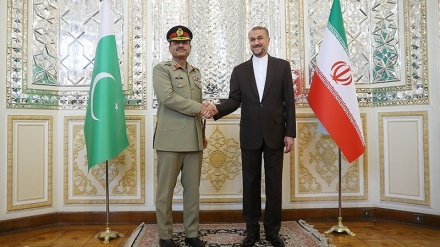  پاکستان کے آرمی چیف اور ایران کے وزیر خارجہ کی ملاقات 